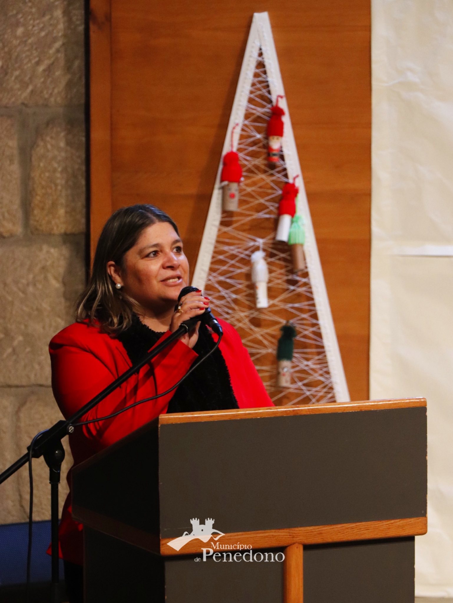 Festa de Natal do Agrupamento de Escolas de Penedono