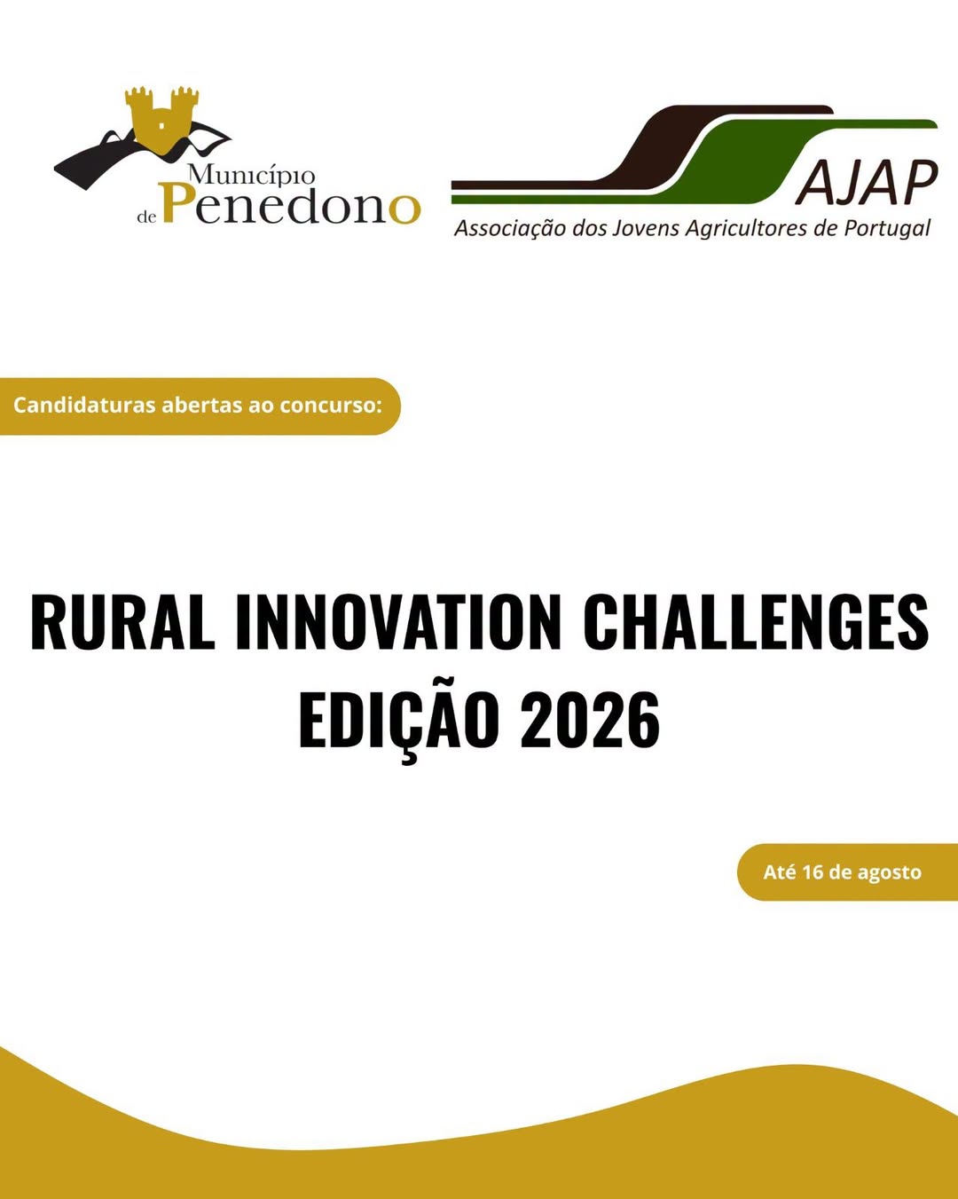 Estão abertas as candidaturas ao Rural Innovation Challenges 2026