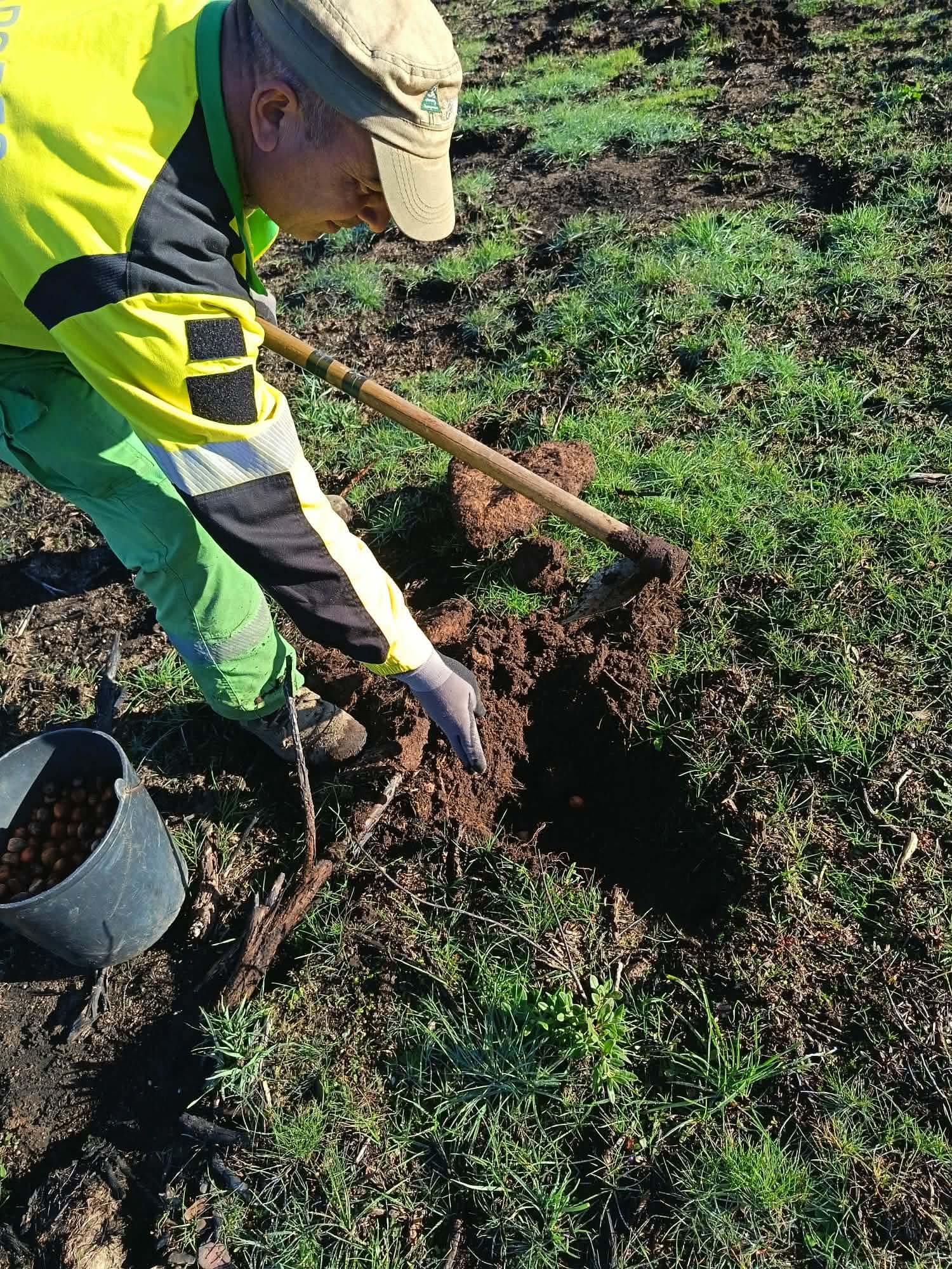 Reflorestação e Recuperação Ambiental
