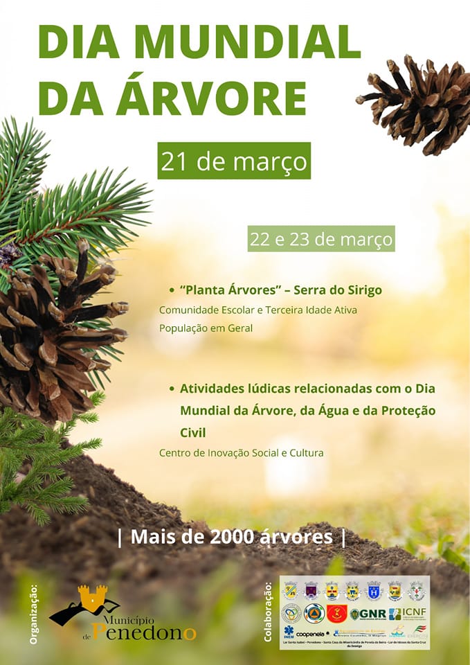  Dia Mundial da Árvore