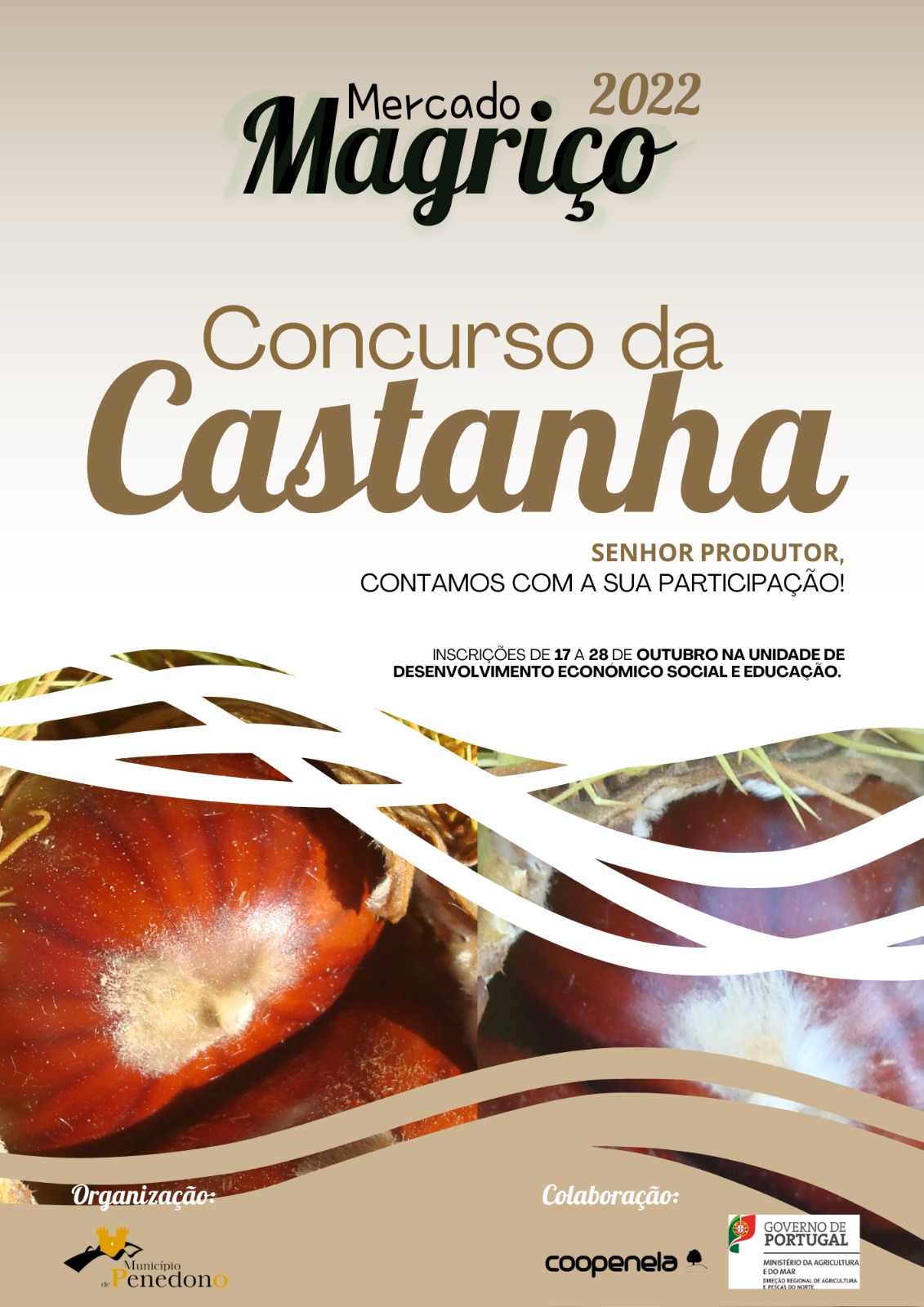 Concurso da Castanha