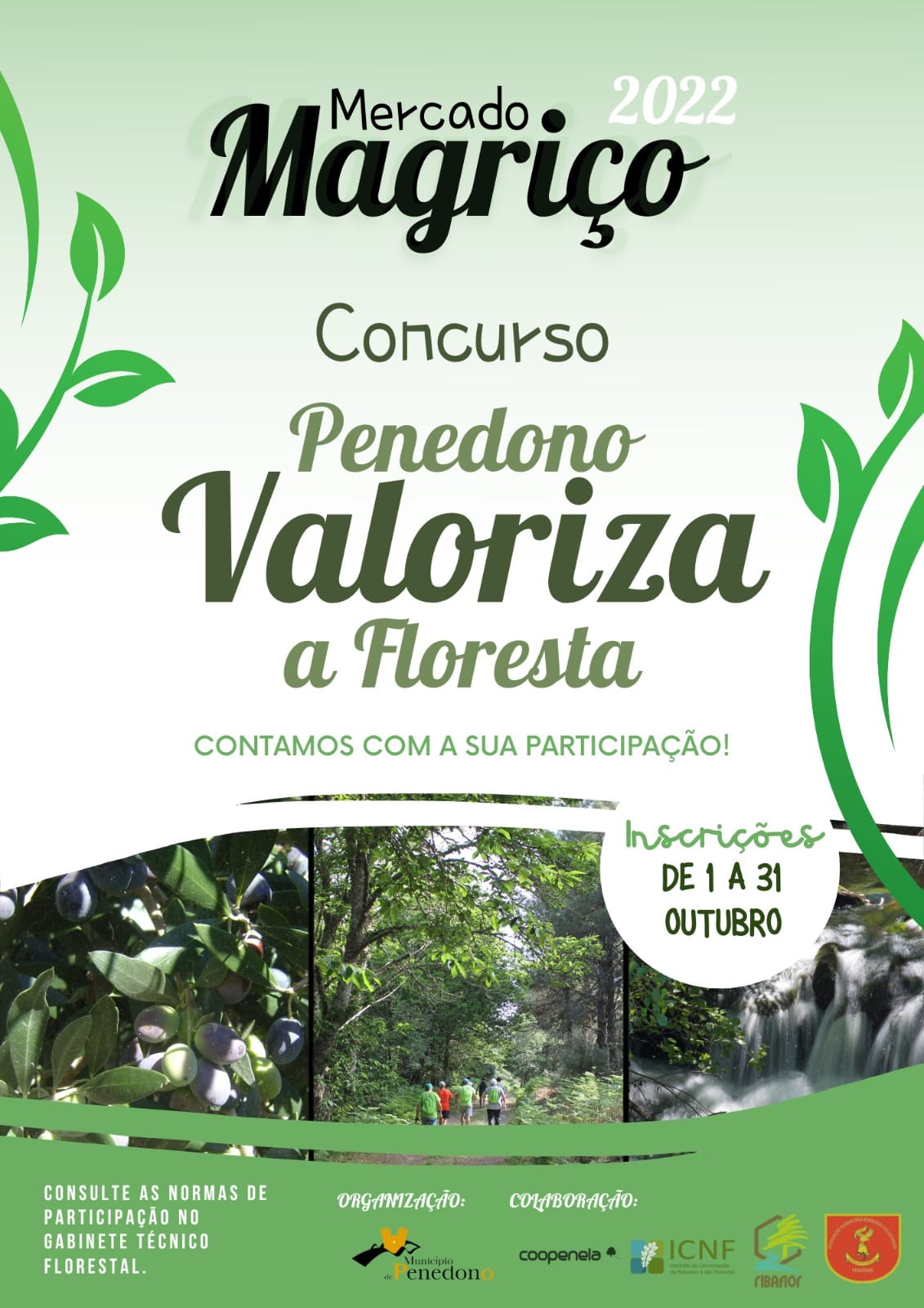 Penedono Valoriza a Floresta