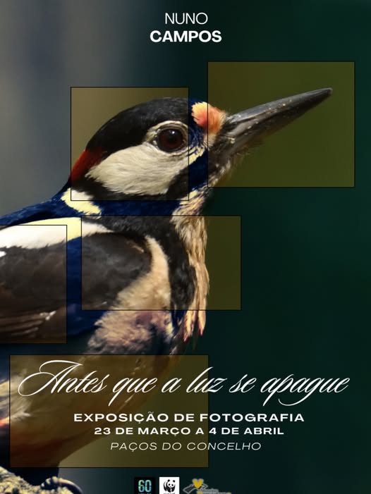 Exposição de fotografia “Antes que a luz se apague”