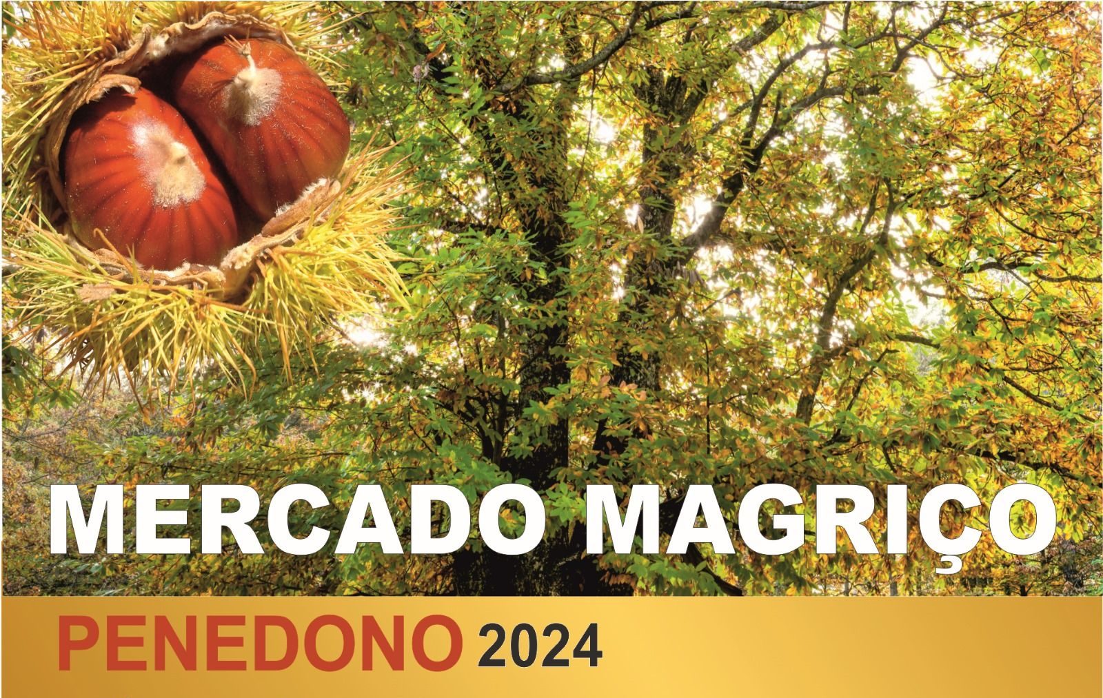 Mercado Magriço 2024