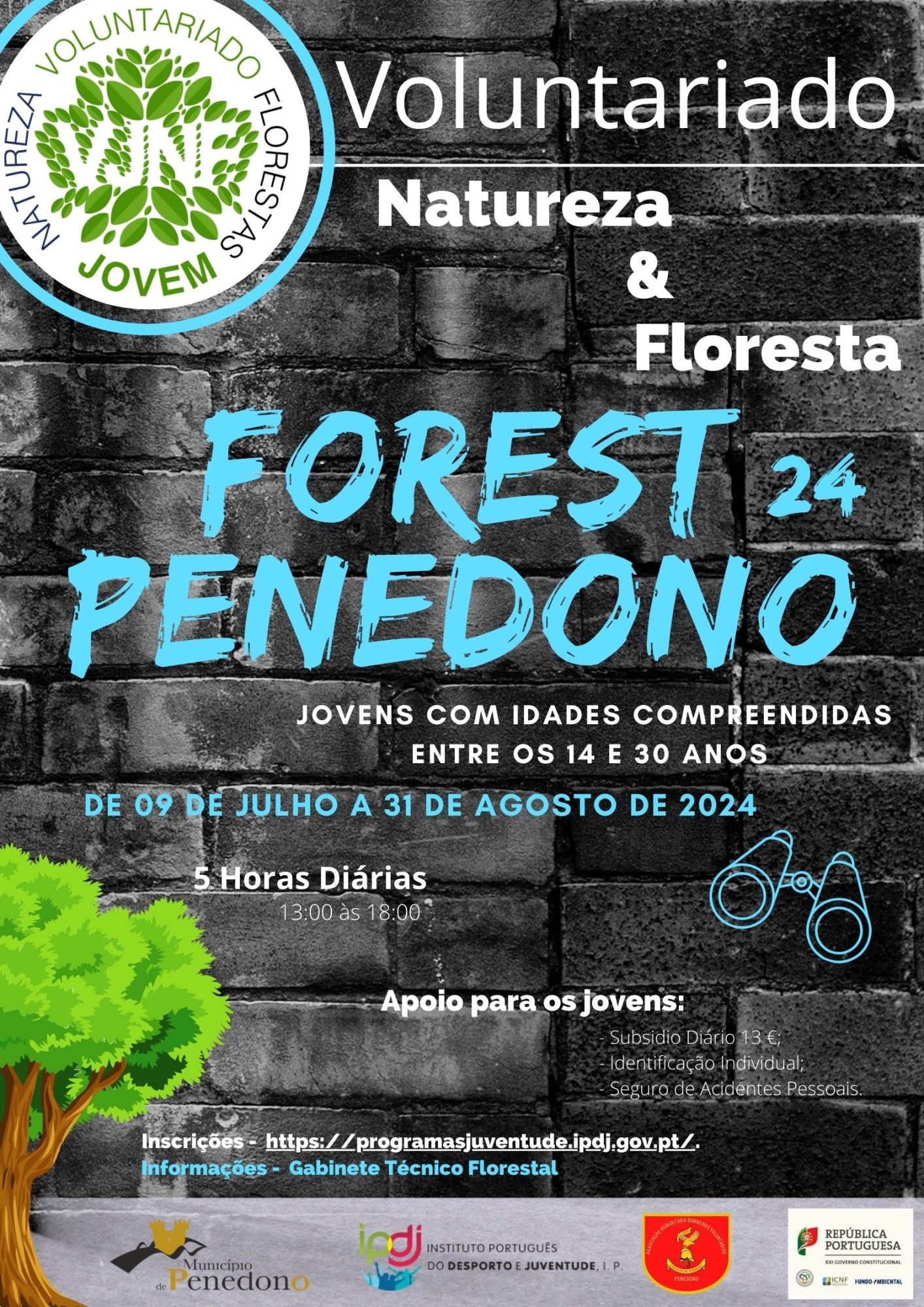 Forest Penedono 2024