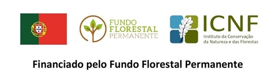 Gabinete Técnico Florestal