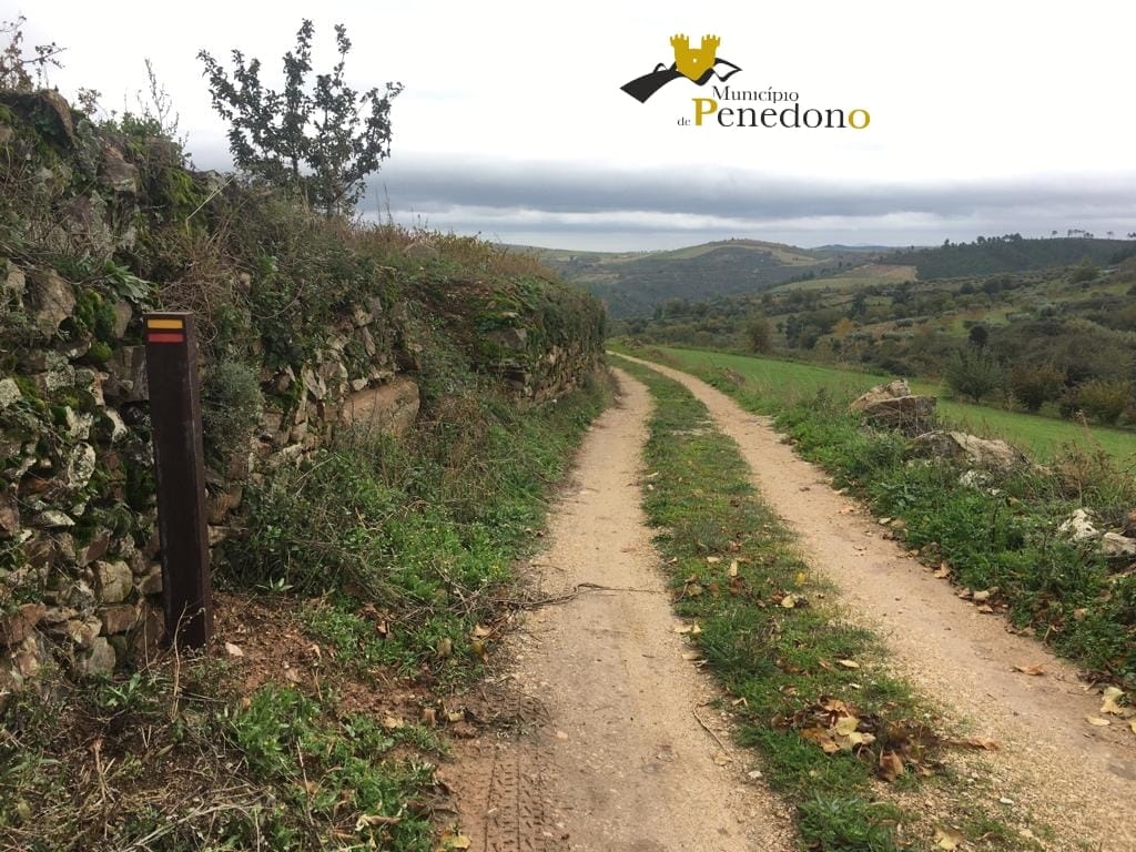PR3 – Rota do Azeite