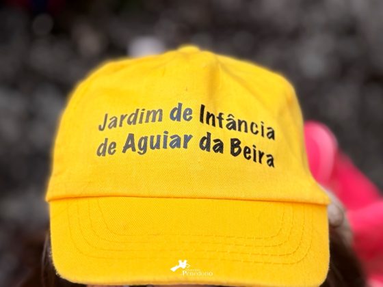 Crianças dos Jardins de Infância de Aguiar da Beira visitam o nosso concelho…