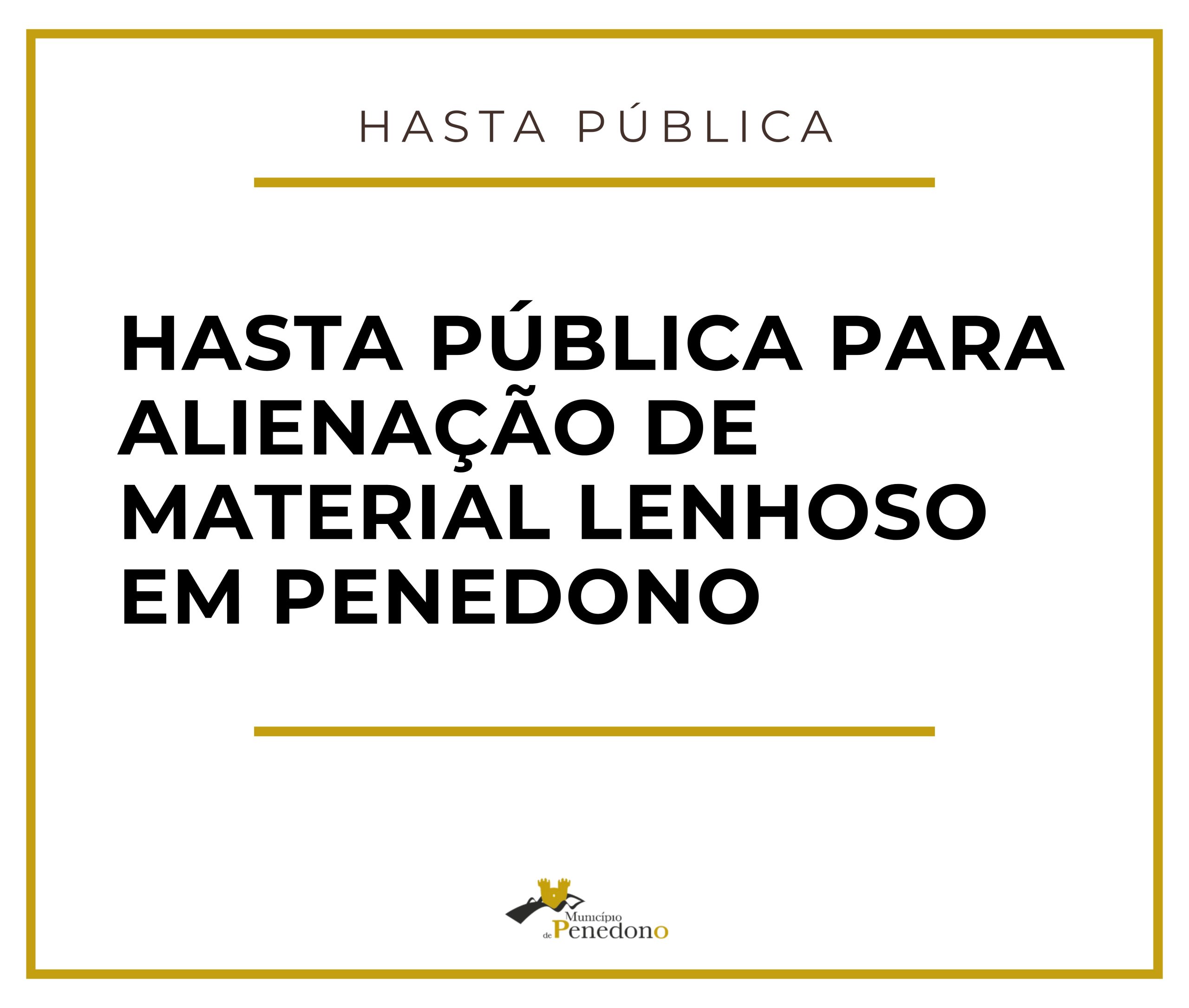 hasta pública